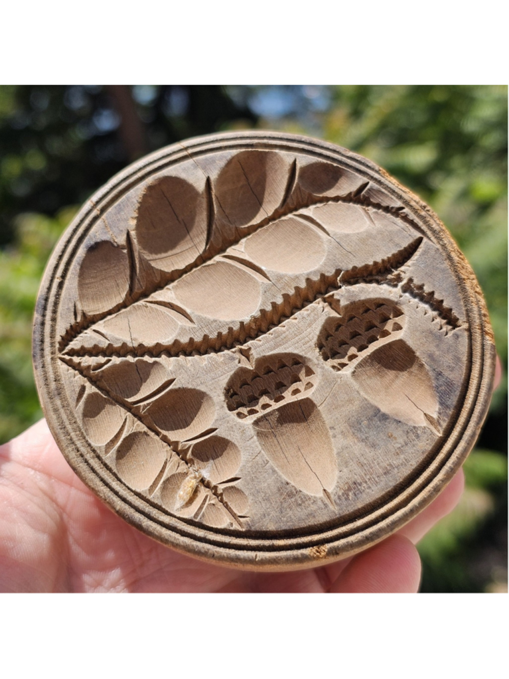 Vintage Wooden Butter Mold Stamp Press Acorn Leaf Design Primitive Folk Art